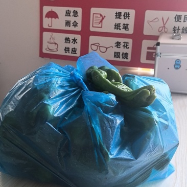 芜湖椒（菜椒）