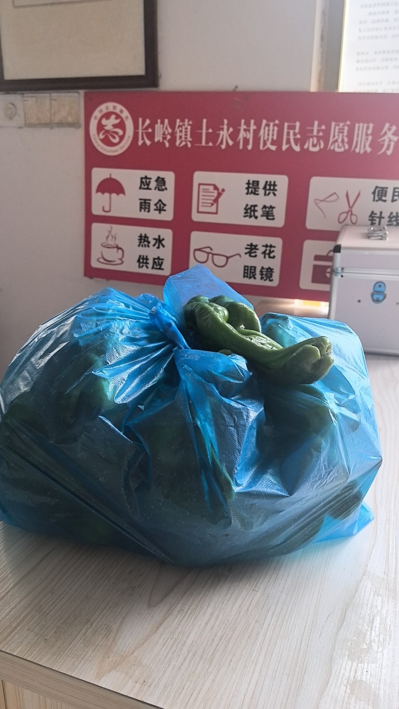 芜湖椒（菜椒）