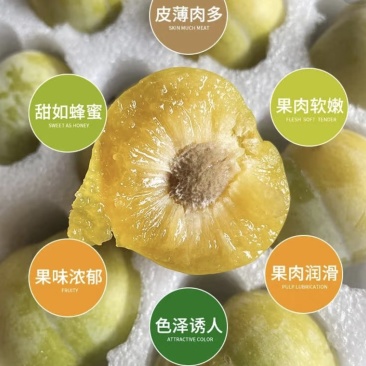 贵州产地蜂糖李专业代收一条龙保质保量支持一件代发全国批发