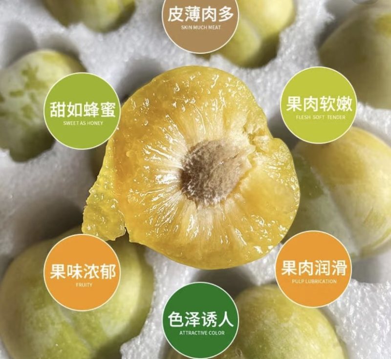 贵州产地蜂糖李专业代收一条龙保质保量支持一件代发全国批发