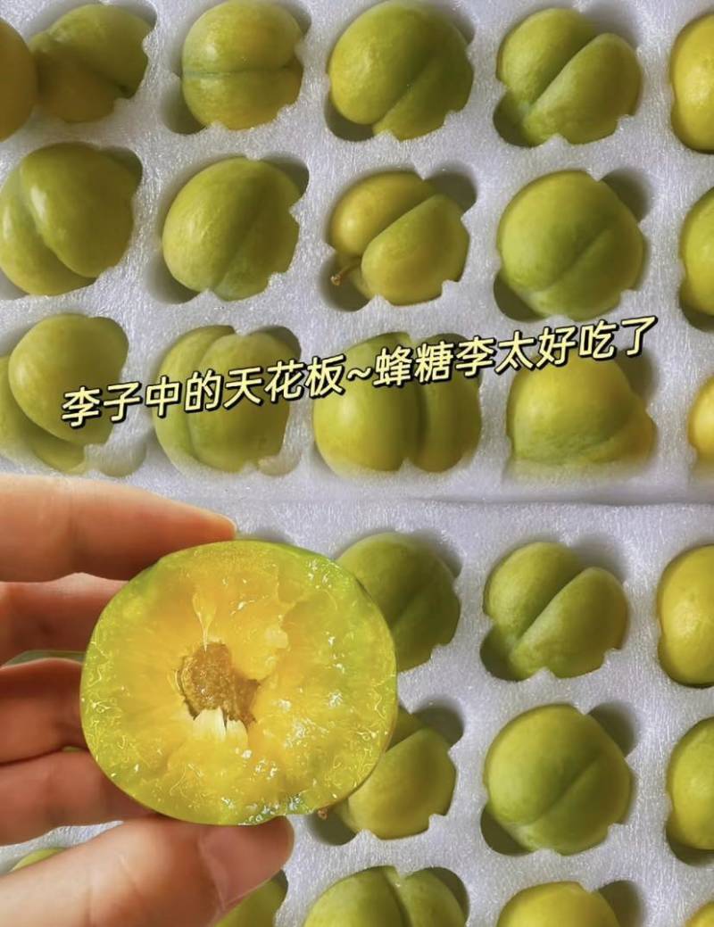 贵州产地蜂糖李专业代收一条龙保质保量支持一件代发全国批发