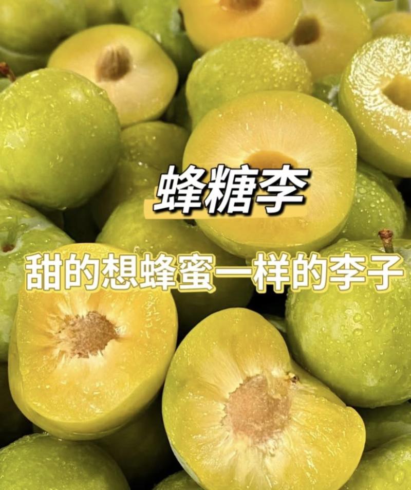 贵州产地蜂糖李专业代收一条龙保质保量支持一件代发全国批发