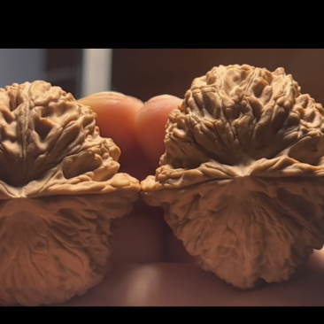 白狮子
