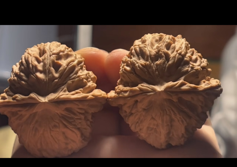 白狮子