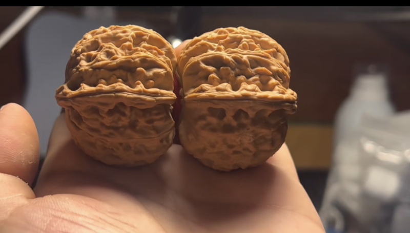 白狮子