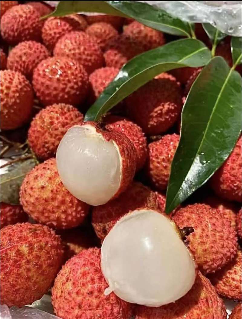 产区桂味荔枝承接各大电商平台一件代发全国批发量大从优
