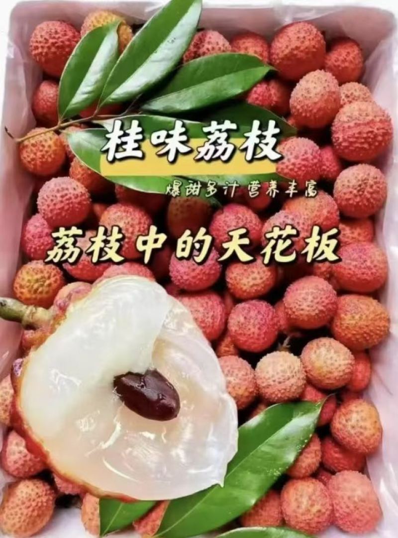 产区桂味荔枝承接各大电商平台一件代发全国批发量大从优