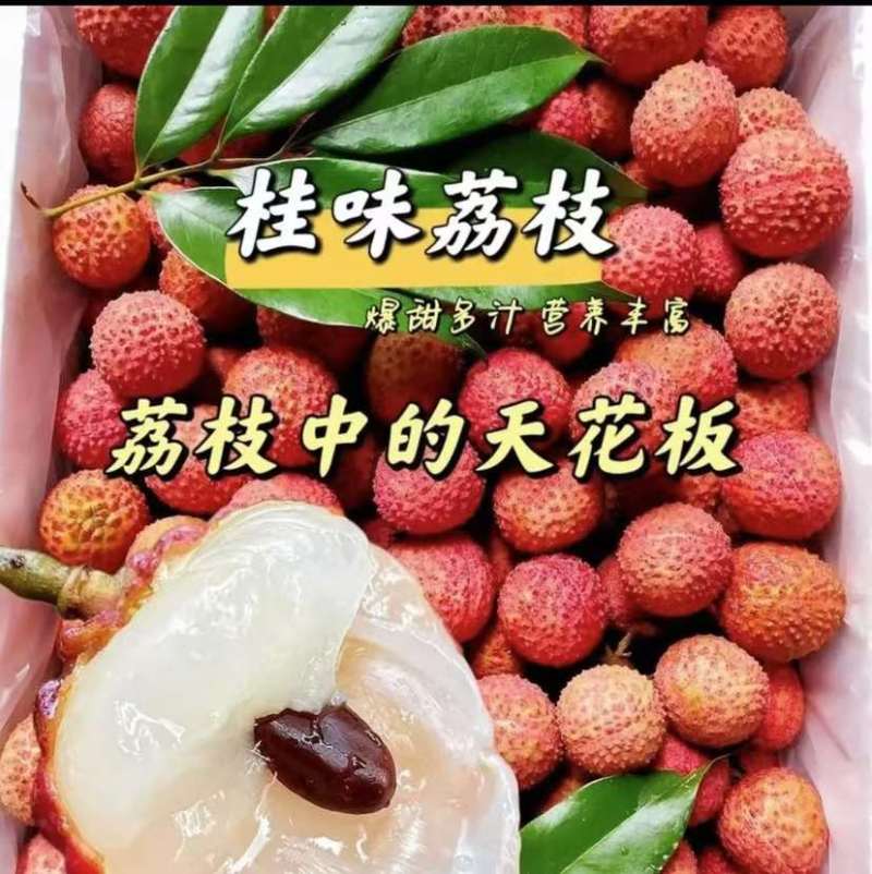 产区桂味荔枝承接各大电商平台一件代发全国批发量大从优