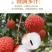 产区桂味荔枝承接各大电商平台一件代发全国批发量大从优