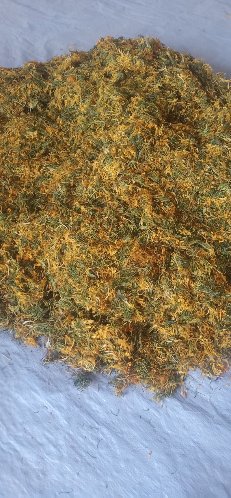 贵州遵义高山金银花