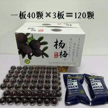 杨梅