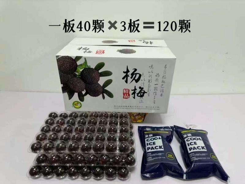 杨梅