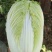 临夏金品黄大白菜