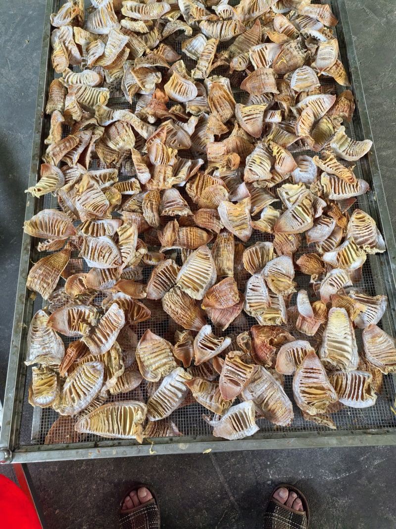 笋干，笋尖，笋衣，笋片