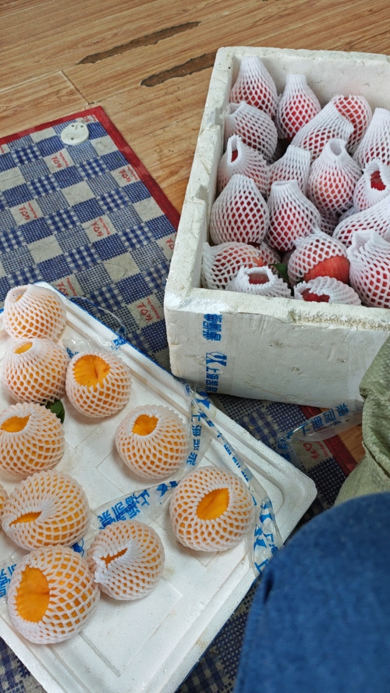 桃源批发商