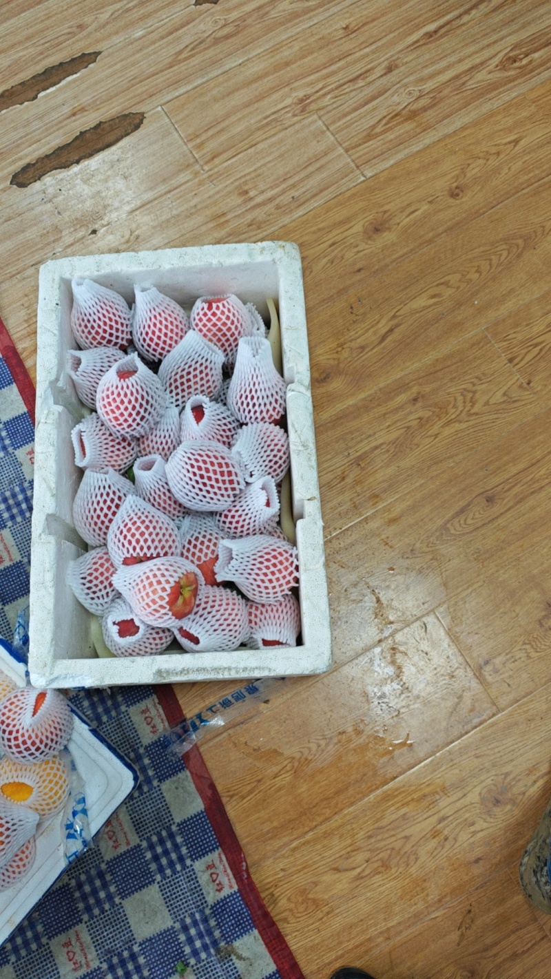 桃源批发商