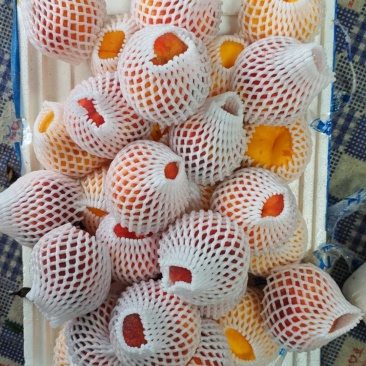桃源批发商