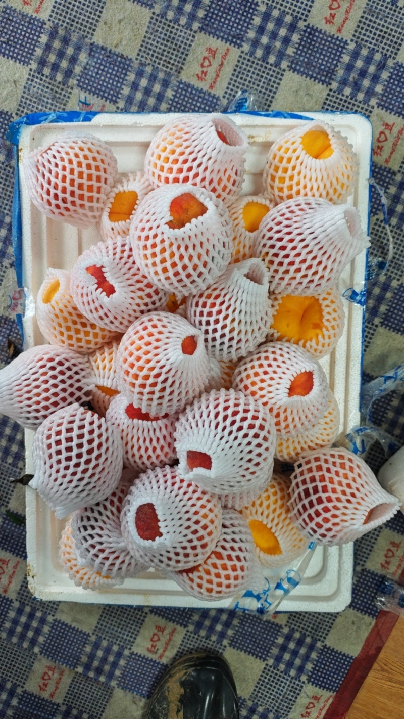 桃源批发商