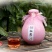 500ml彩坛