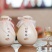500ml彩坛