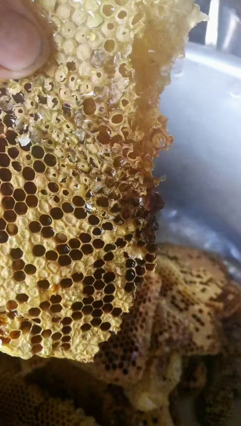 正宗土蜂蜜