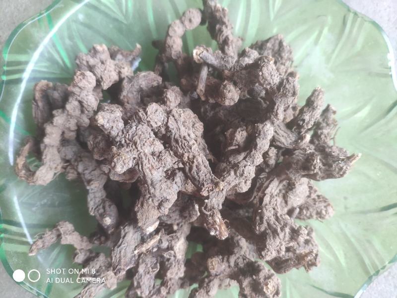 大别山纯野生苍朮