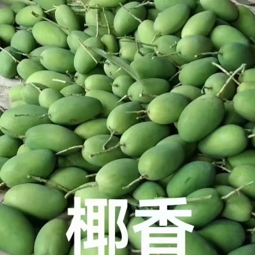 椰香芒果