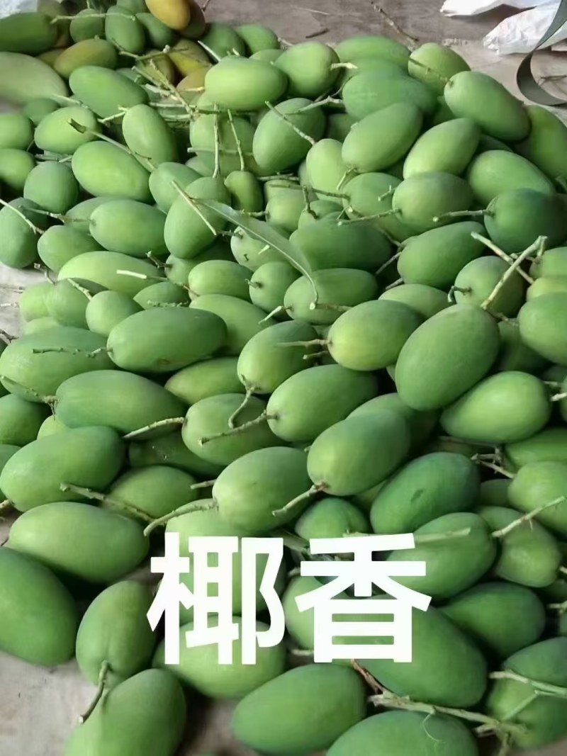 椰香芒果