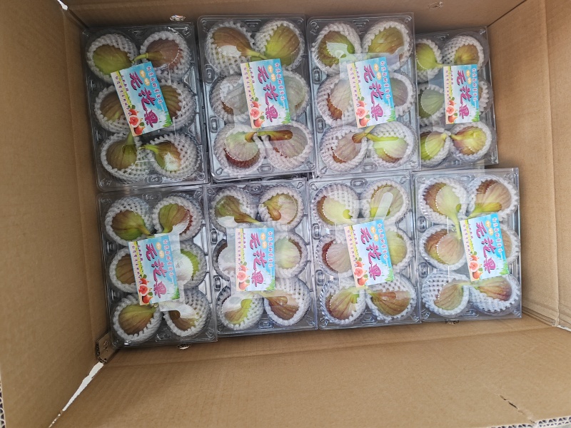 云南省昆明市东川区，无花果