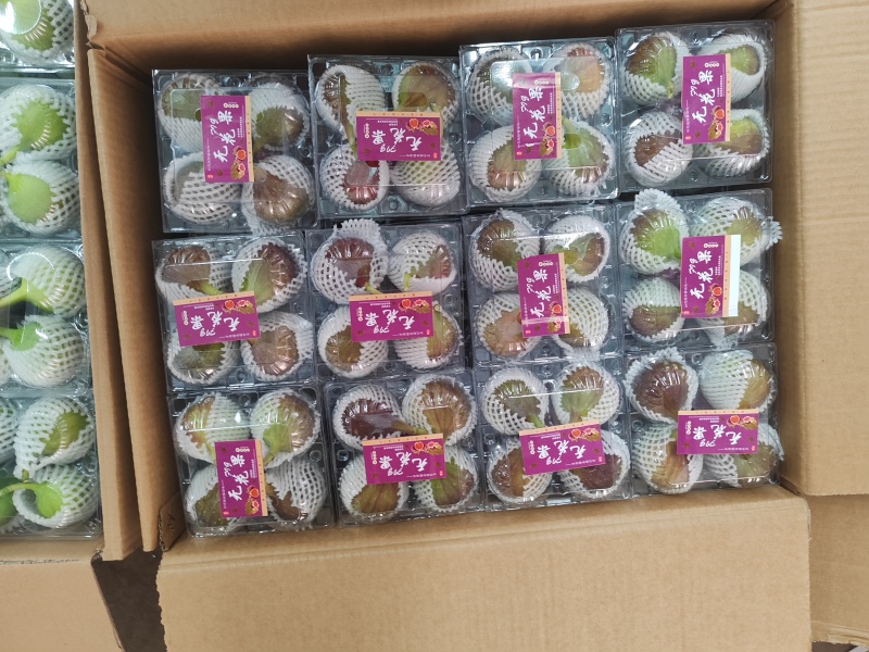 云南省昆明市东川区，无花果