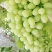 新疆无核白