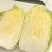 大娃娃菜