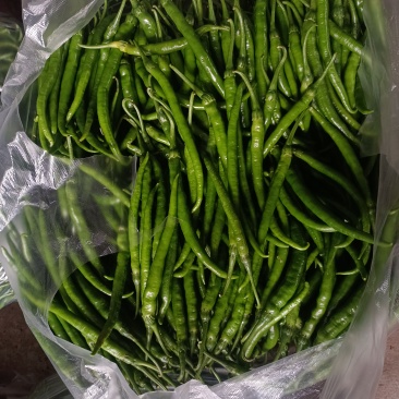 农家自种二荆条辣椒