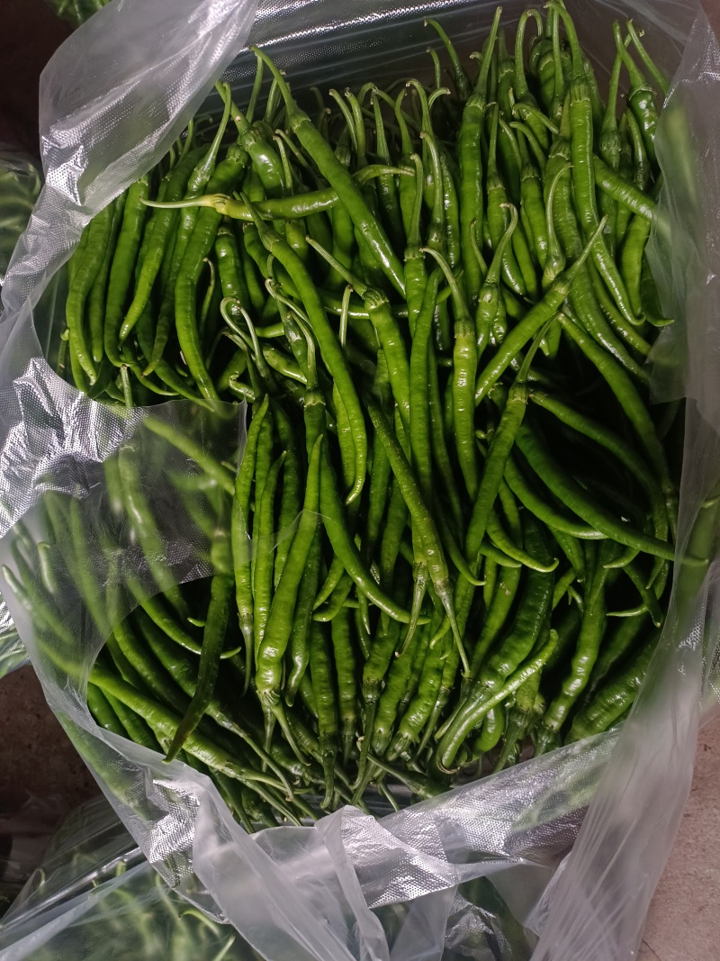 农家自种二荆条辣椒
