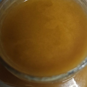 陇南纯正土蜂蜜