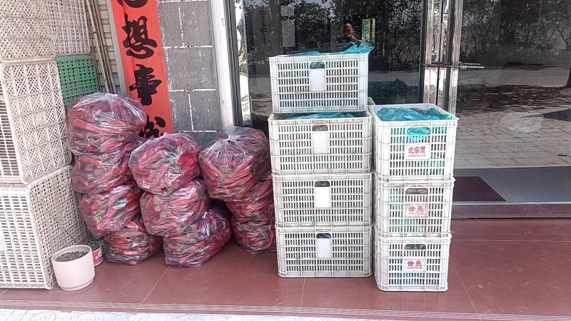 红泡椒