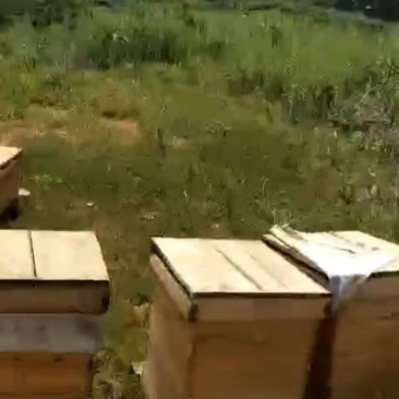 40度荊条蜂蜜