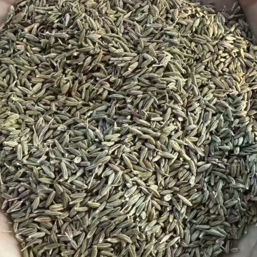 新疆孜然