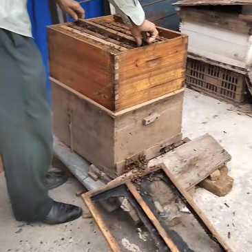 湖北大悟县，农家蜂蜜