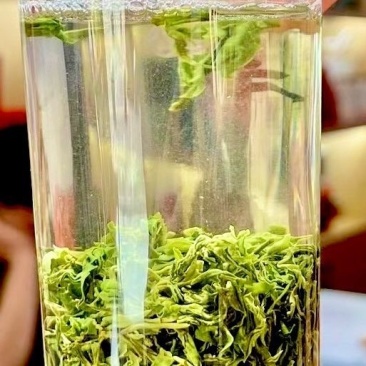 很好的一款铁观音