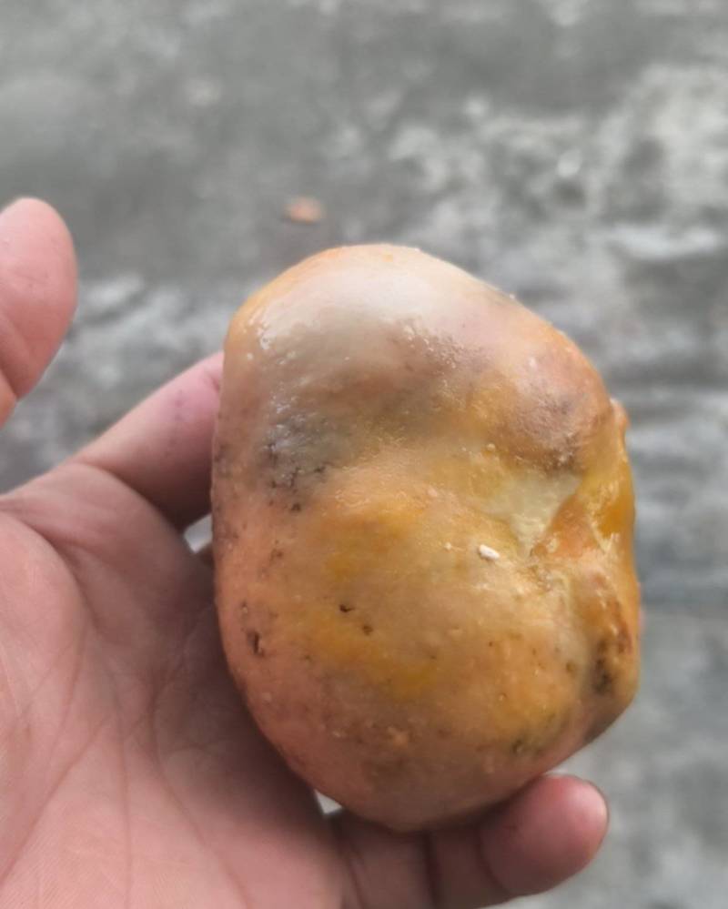 这个是鸡宝吗