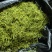 重庆市秀山县渝蕾1号干金银花