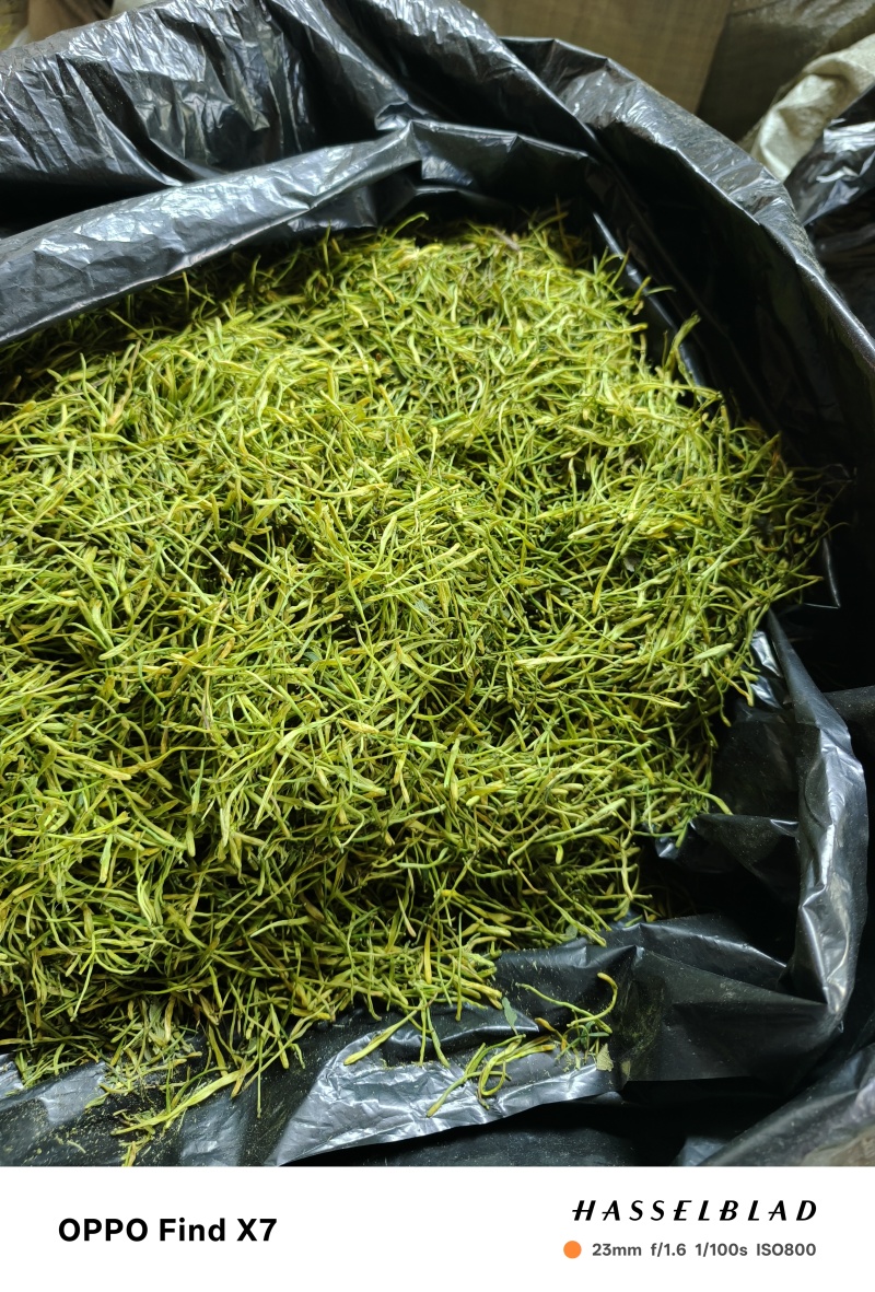 重庆市秀山县渝蕾1号干金银花