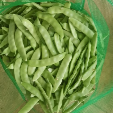 油豆角