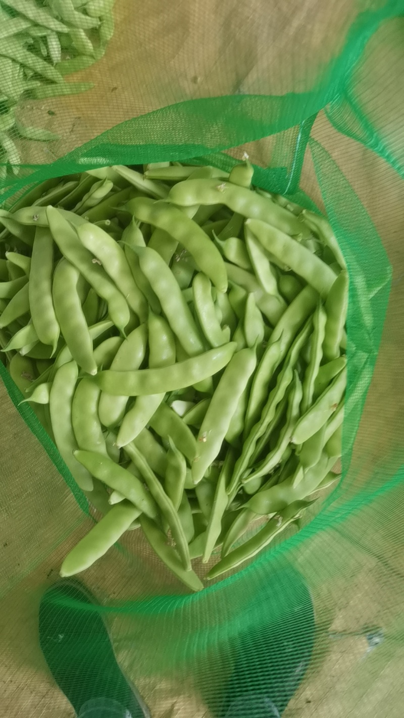 油豆角
