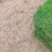 草皮