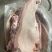 前上肉
