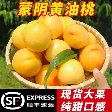 山东蒙阴黄金油桃