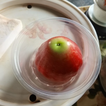 莲雾
