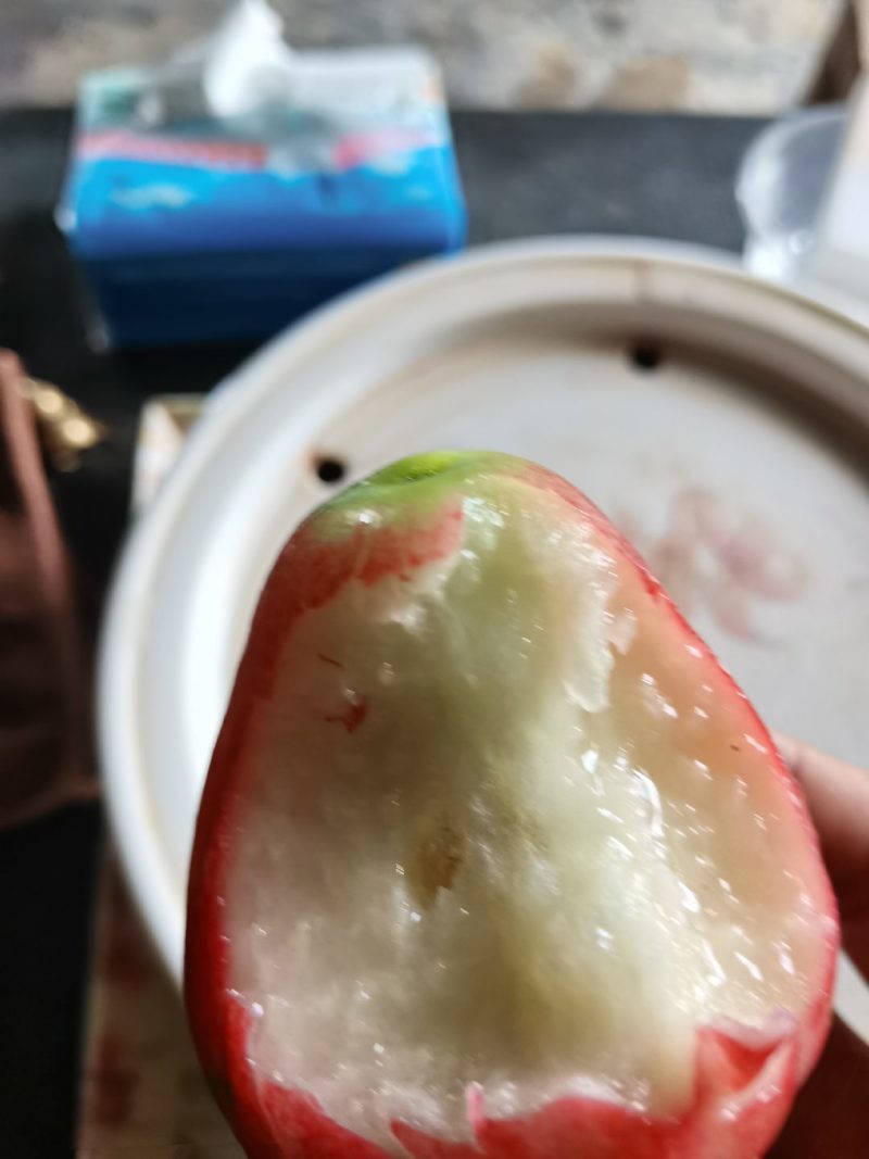 莲雾